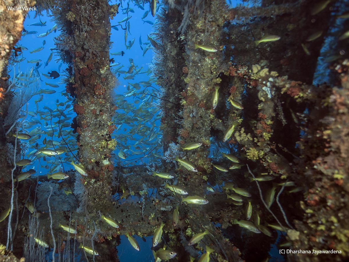 From inside of the wreck